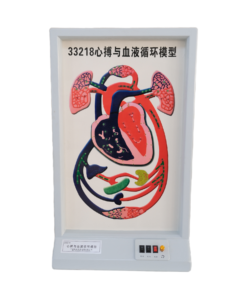 老师的兔子好软水好多动漫APP