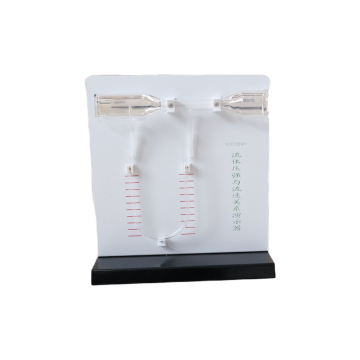 流体压强与流速关系演示器气体式