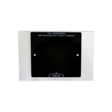 电泳图谱观察仪